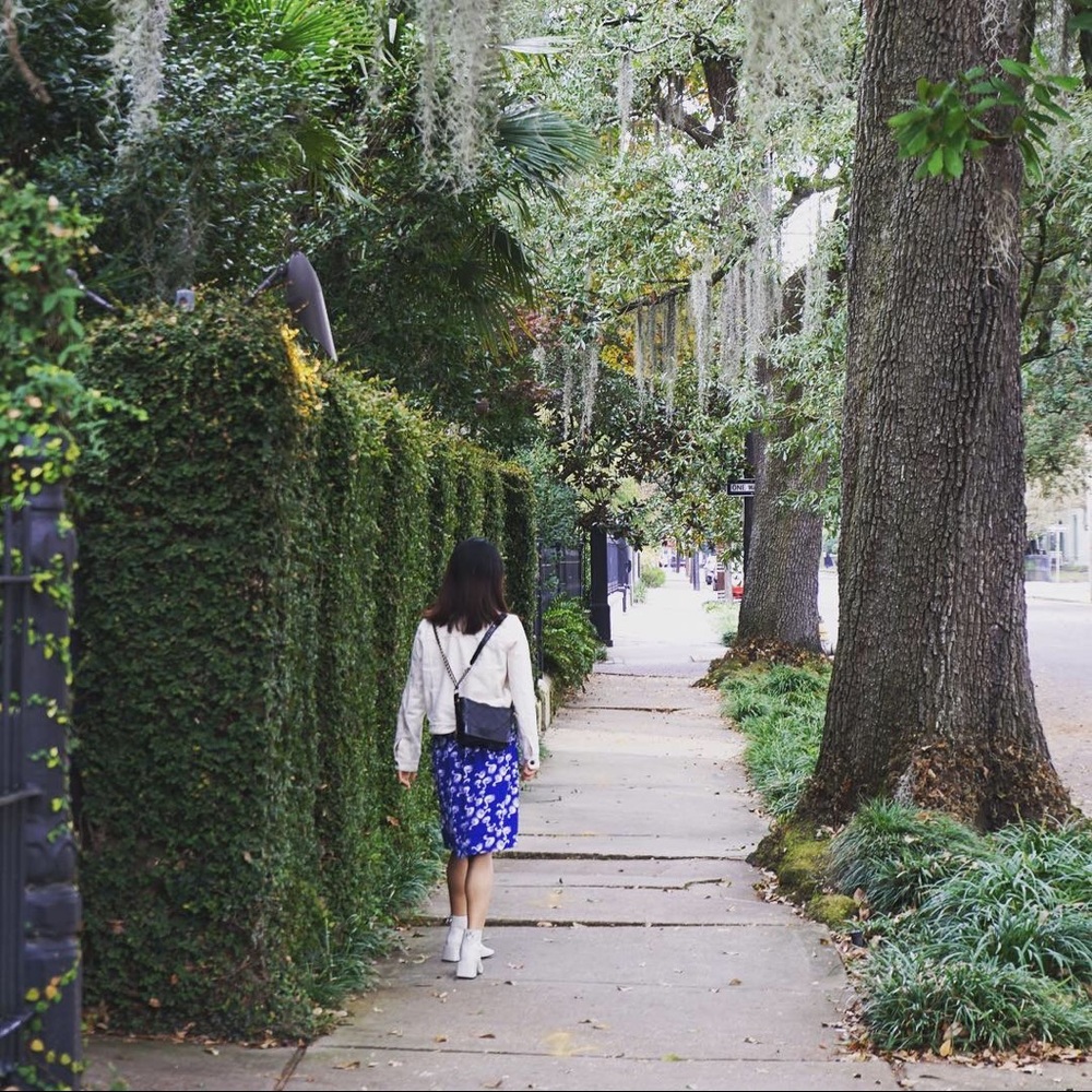 Blue MIDI skirt with swan patterns